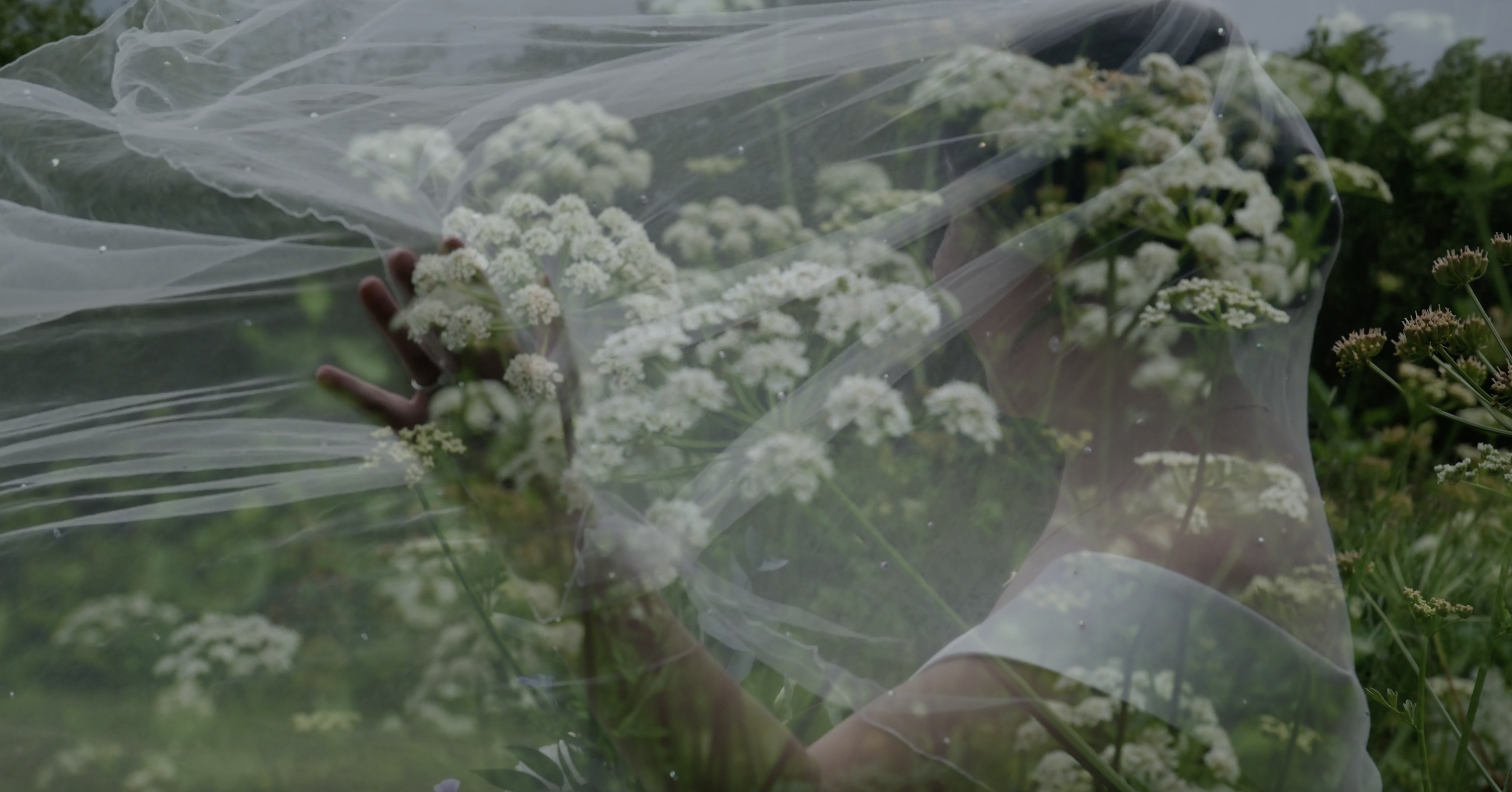 Screenshot 2026-03-02 at 12.28.03.png