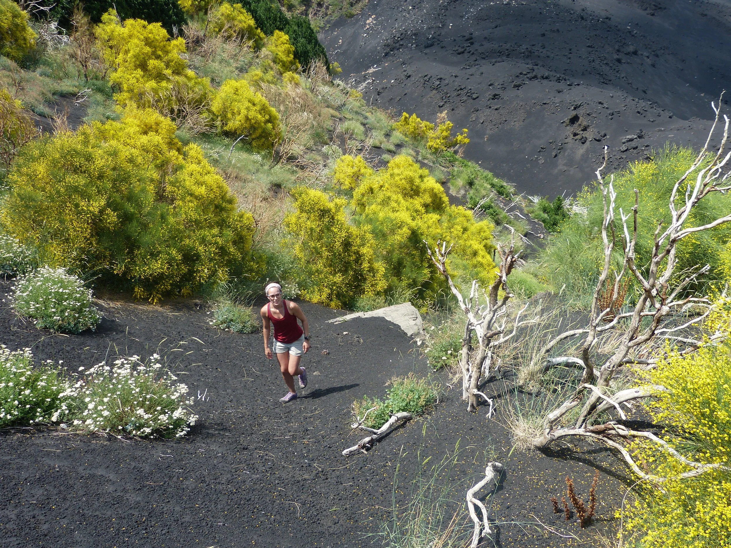 A woman hiking on a trail in a desert landscape with green and yellow bushes, white flowering plants, and charred black ground, with volcanic mountain slopes in the background.