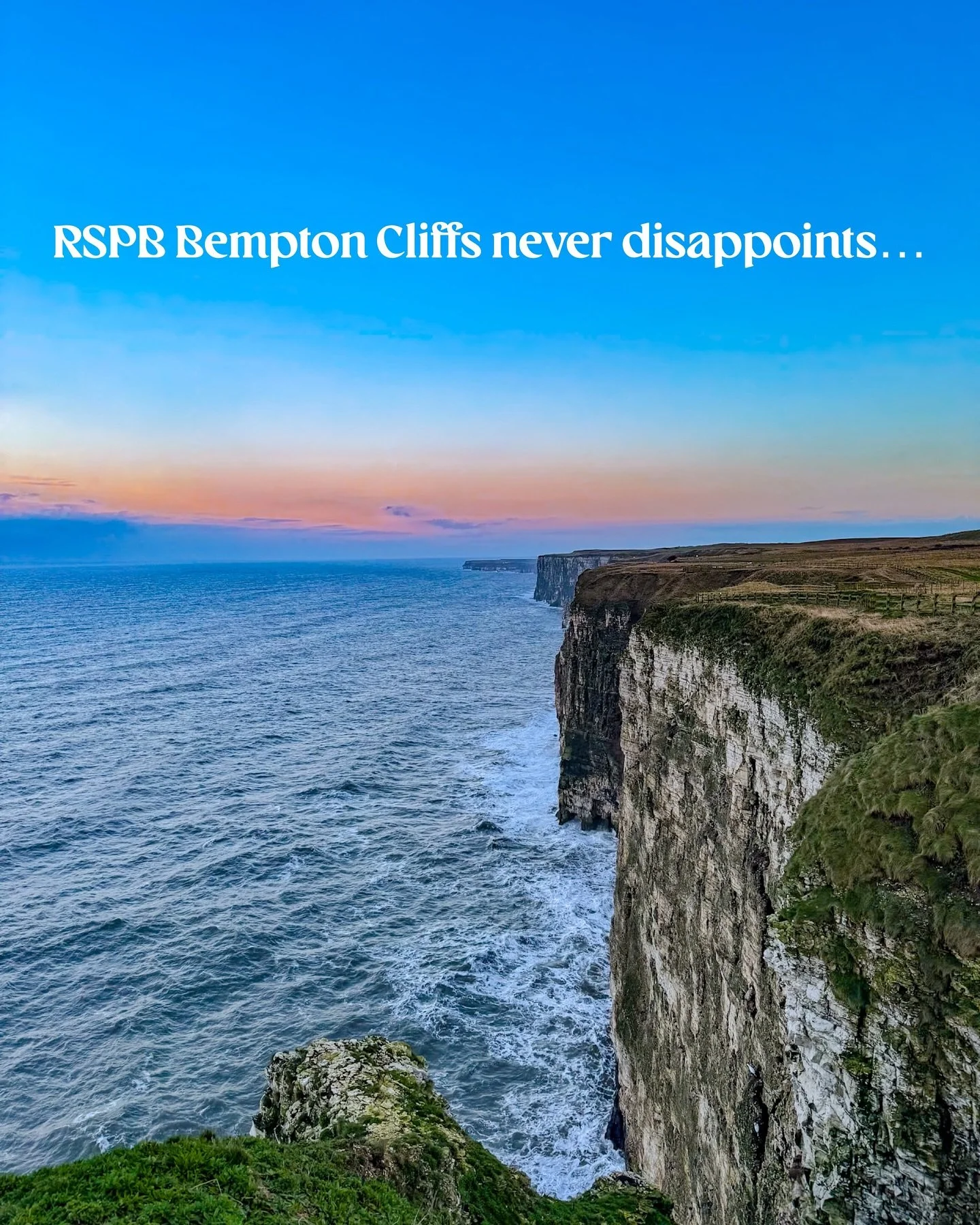 The first thing that hit me wasn&rsquo;t the view, it was the sound &mdash; thousands of seabirds calling all at once, echoing off the cliffs like nature&rsquo;s own orchestra.⁣
⁣
Every time I come here, I feel the same rush. Puffins dart past with s