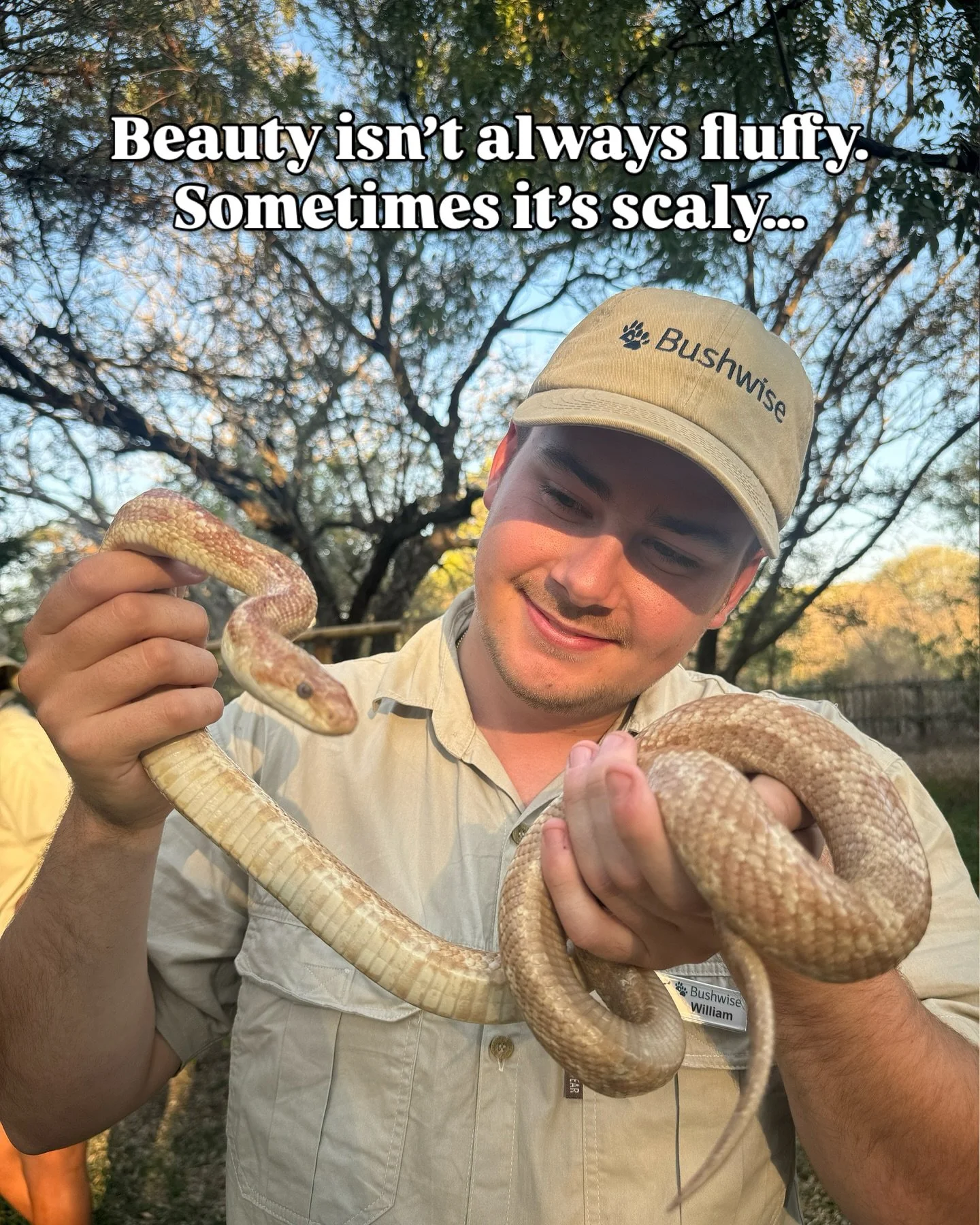 On safari, most of the attention goes to the Big 5 &mdash; lions, elephants, leopards, rhinos, and buffalo. But what about the animals that slip through the cracks? The ones we overlook, or worse, fear.⁣
⁣
Snakes, lizards, and crocodiles often carry 