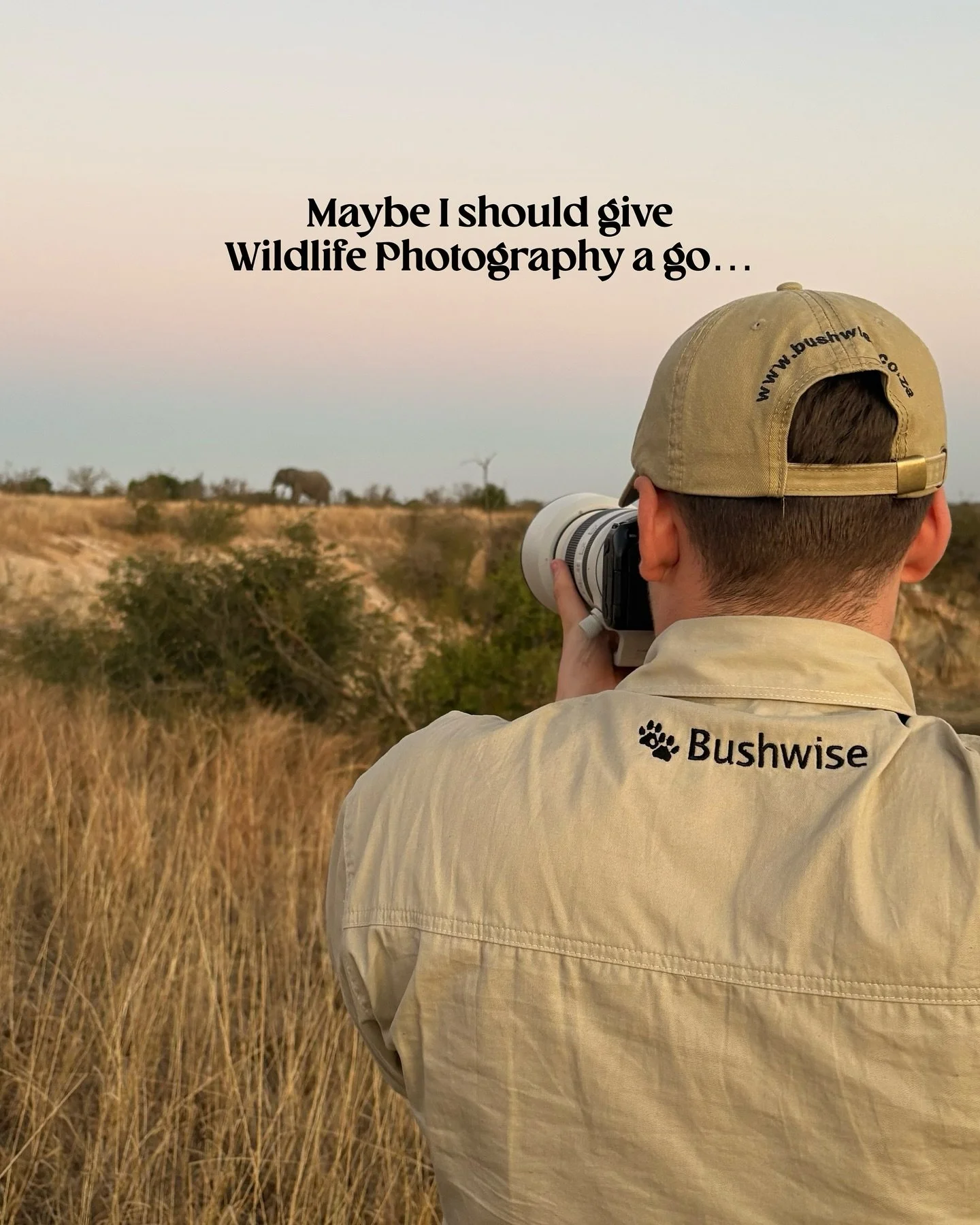 One camera, a little bit of curiosity and a lot of love for the wild. That&rsquo;s how my Wildlife Photography journey started.⁣
⁣
Since then, it&rsquo;s taken me from photographing tiny bees in my local woods to elephants roaming across Africa. From