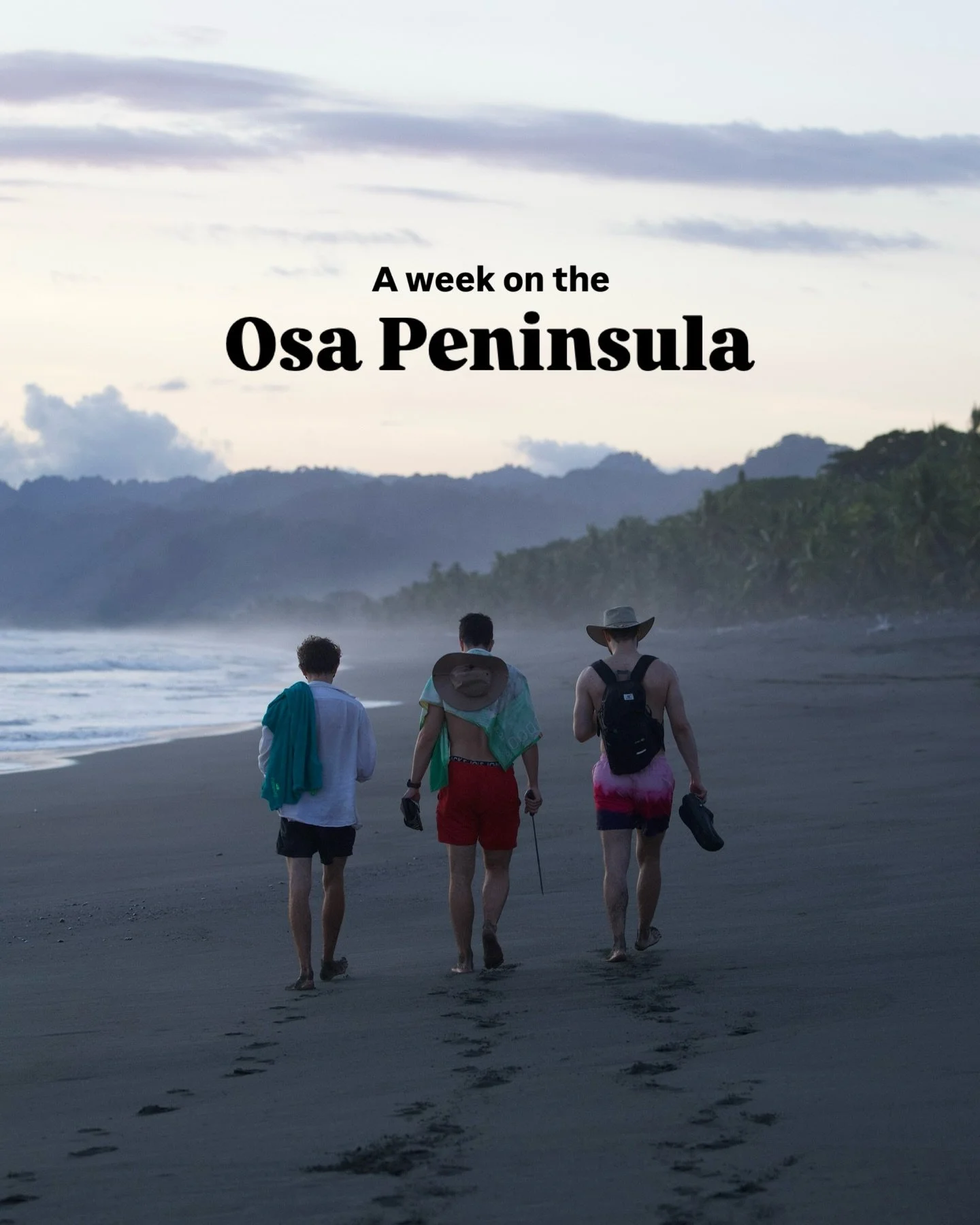 They say time flies when you&rsquo;re having fun,
but out here on the Osa Peninsula, it disappears completely.

The past week has been one of those where every day felt like a month&rsquo;s worth of moments.

- Releasing hatchlings from the safety of