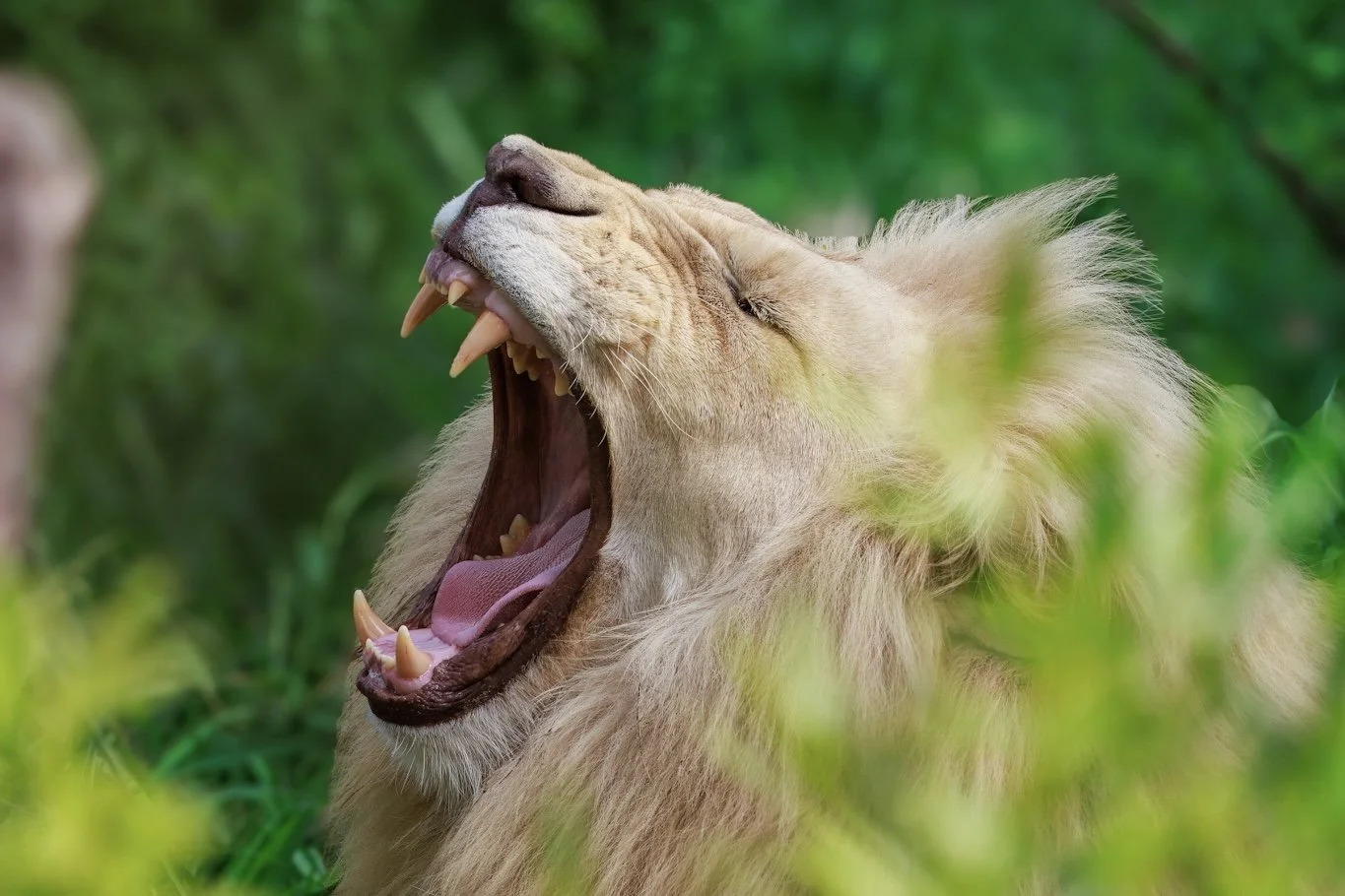 _V6A8079-topaz-rawdenoise-sharpen 2.jpg