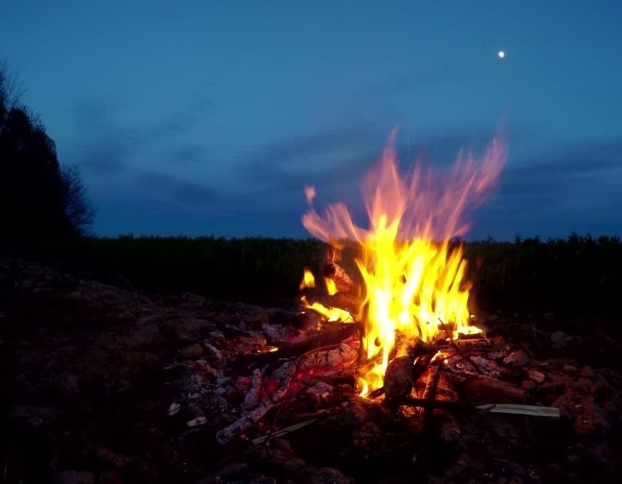 Winter Solstice Festival