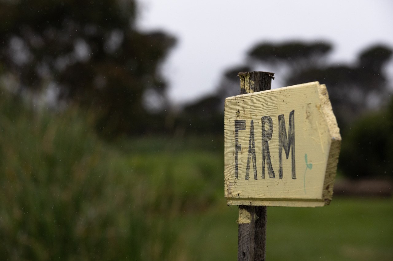 Farm Day