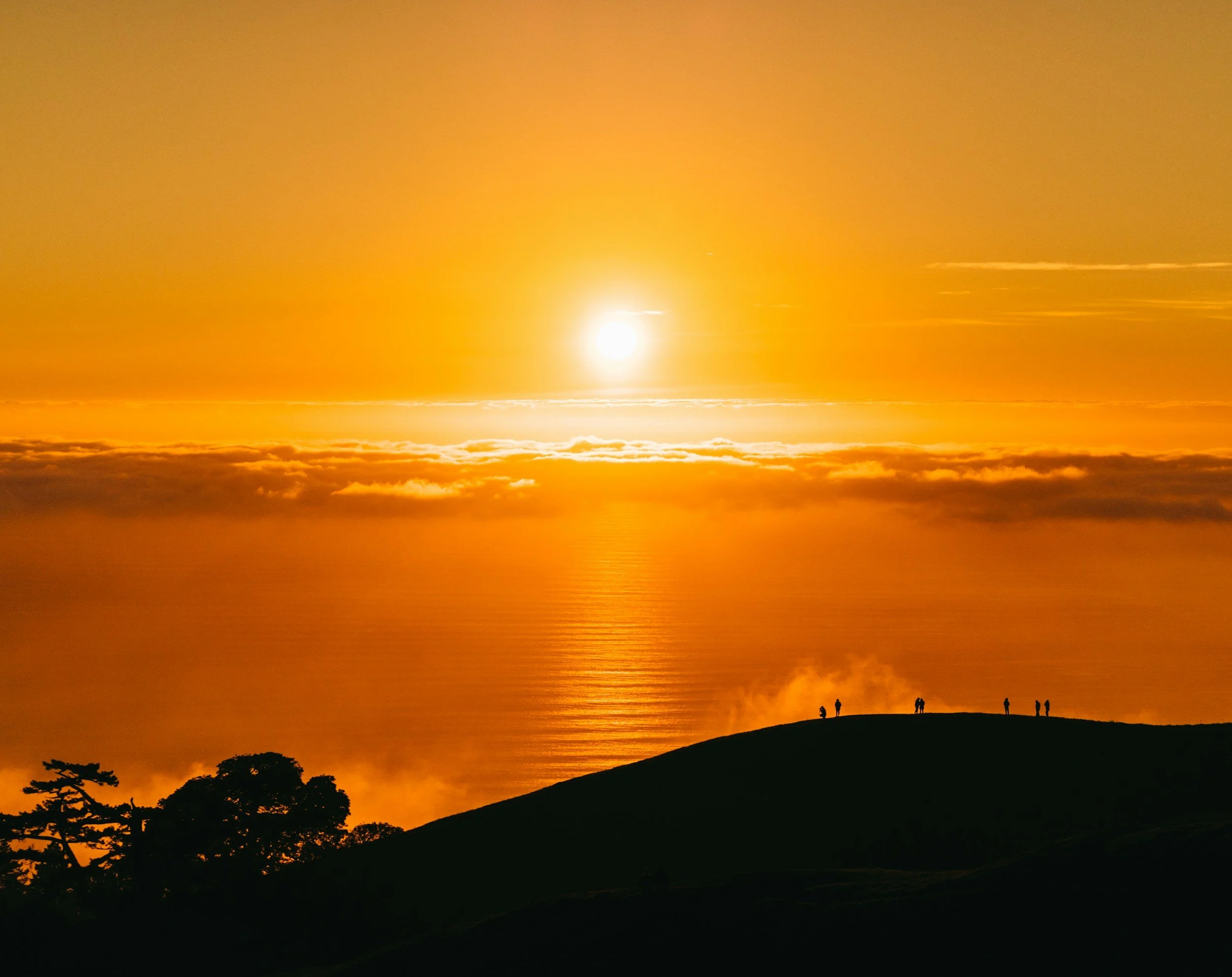 Regenerate Summer Frequency Retreat by Future Within