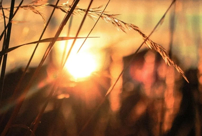 What does a Revillaging &ldquo;Holiday Party&rdquo; look like? 

In the busiest seasons of life it is our belief that we must consciously make time for pause and celebration. 

Amidst the endless year end social and familial obligations for us all, w