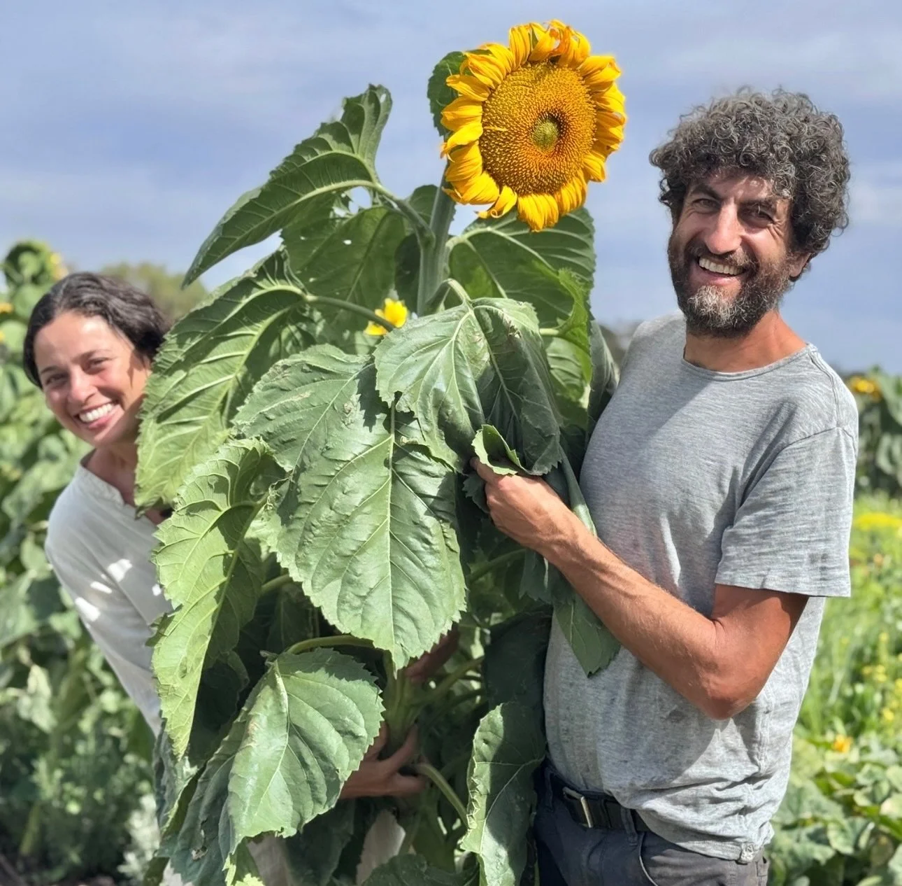 Happy Long Weekend! We hope you are enjoying this beautiful sunshine.

From us here at Waves Farm / The Revillaging project we want to thank you for the support over the Summer.

Whether you buy our organic veggie boxes, or join us on our yoga mornin