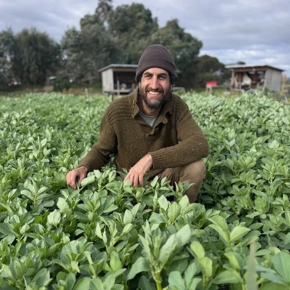 josh in a field of green manure broad beans