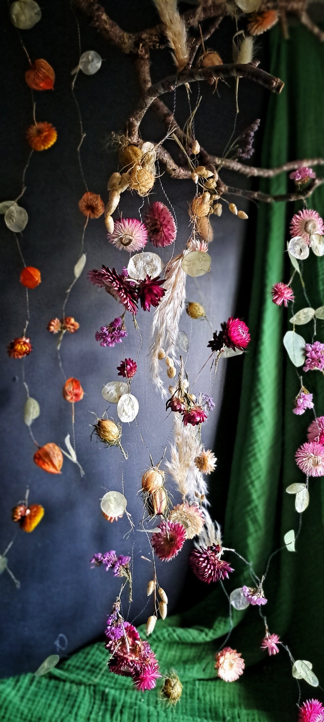 Dried Flower Vines