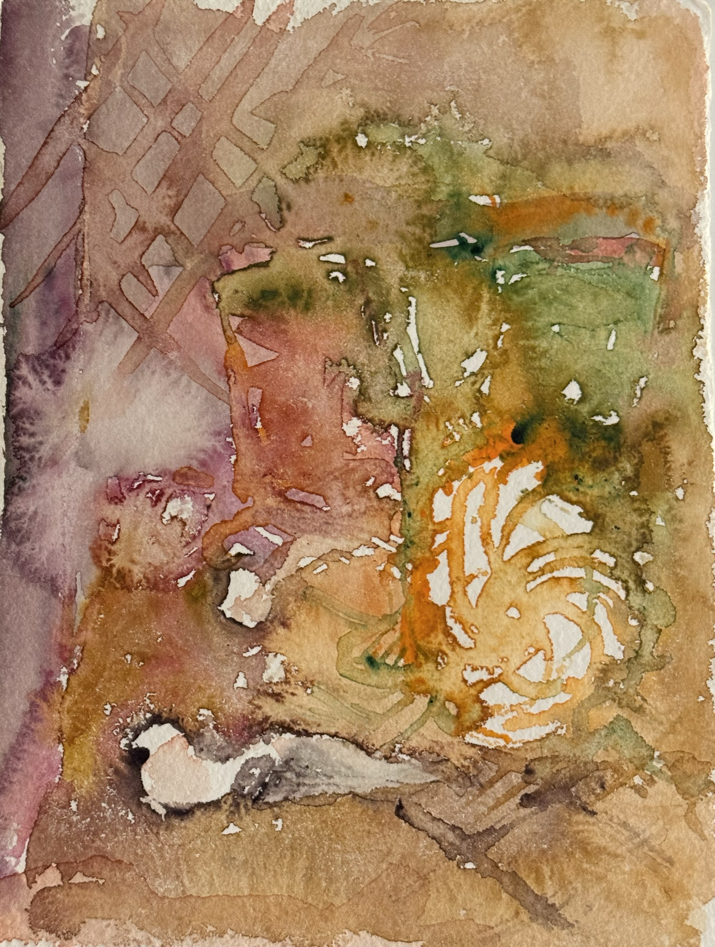 535.193, 6"x8", wc on paper, 6.23.24