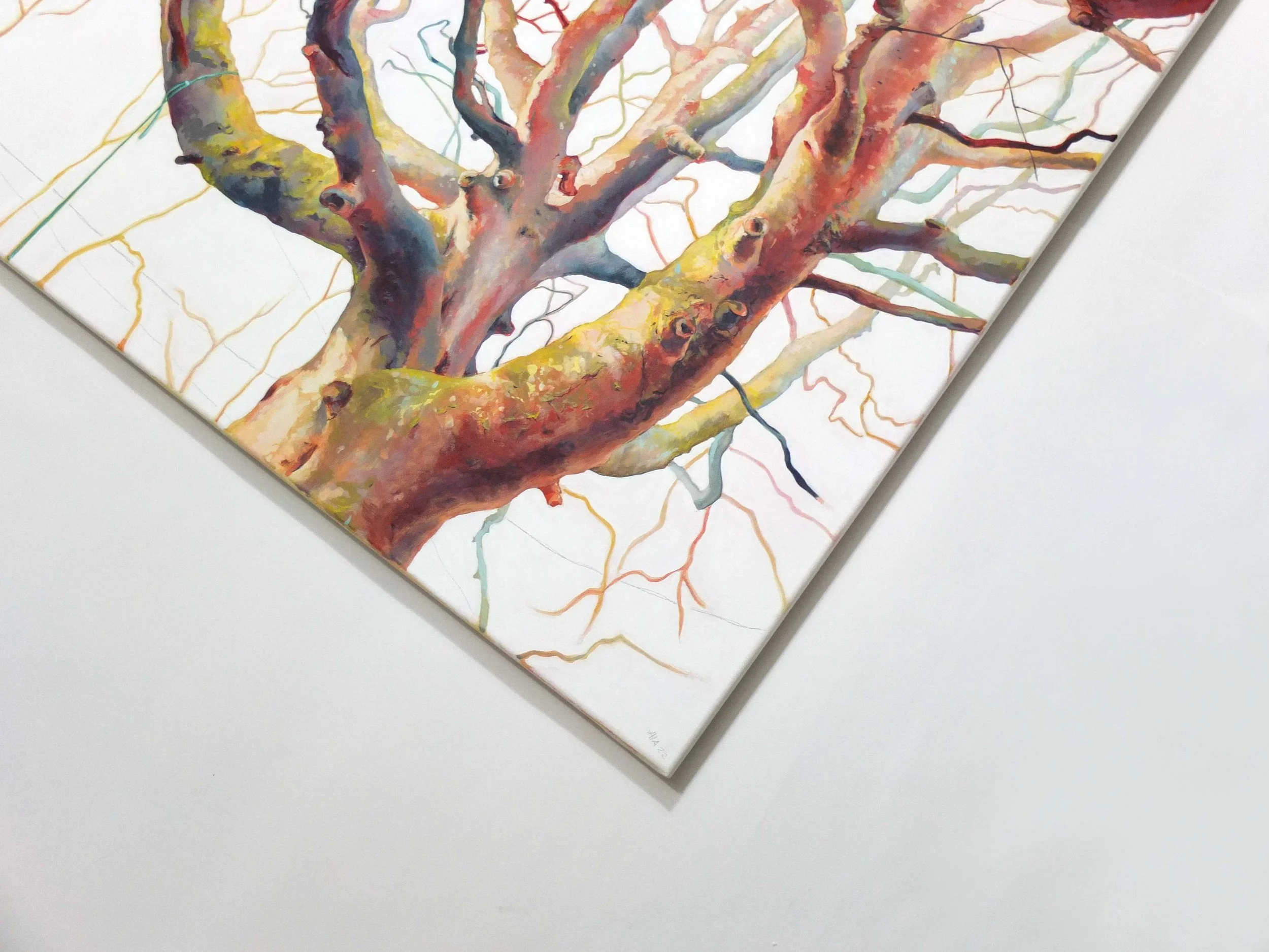 Odgers trees 04e-Angelshaug.jpg