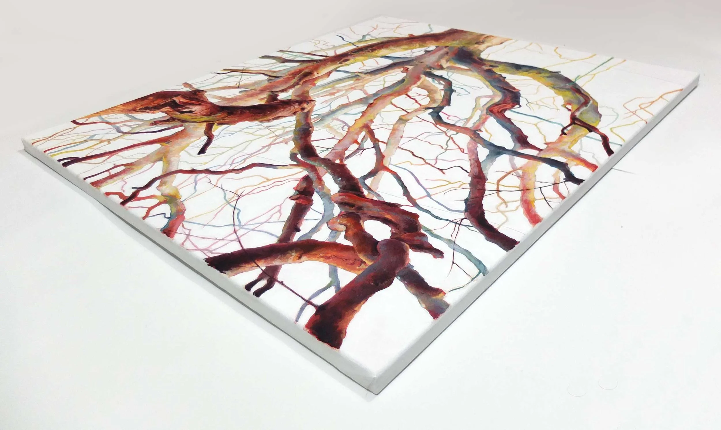 Odgers trees 04f-Angelshaug.jpg