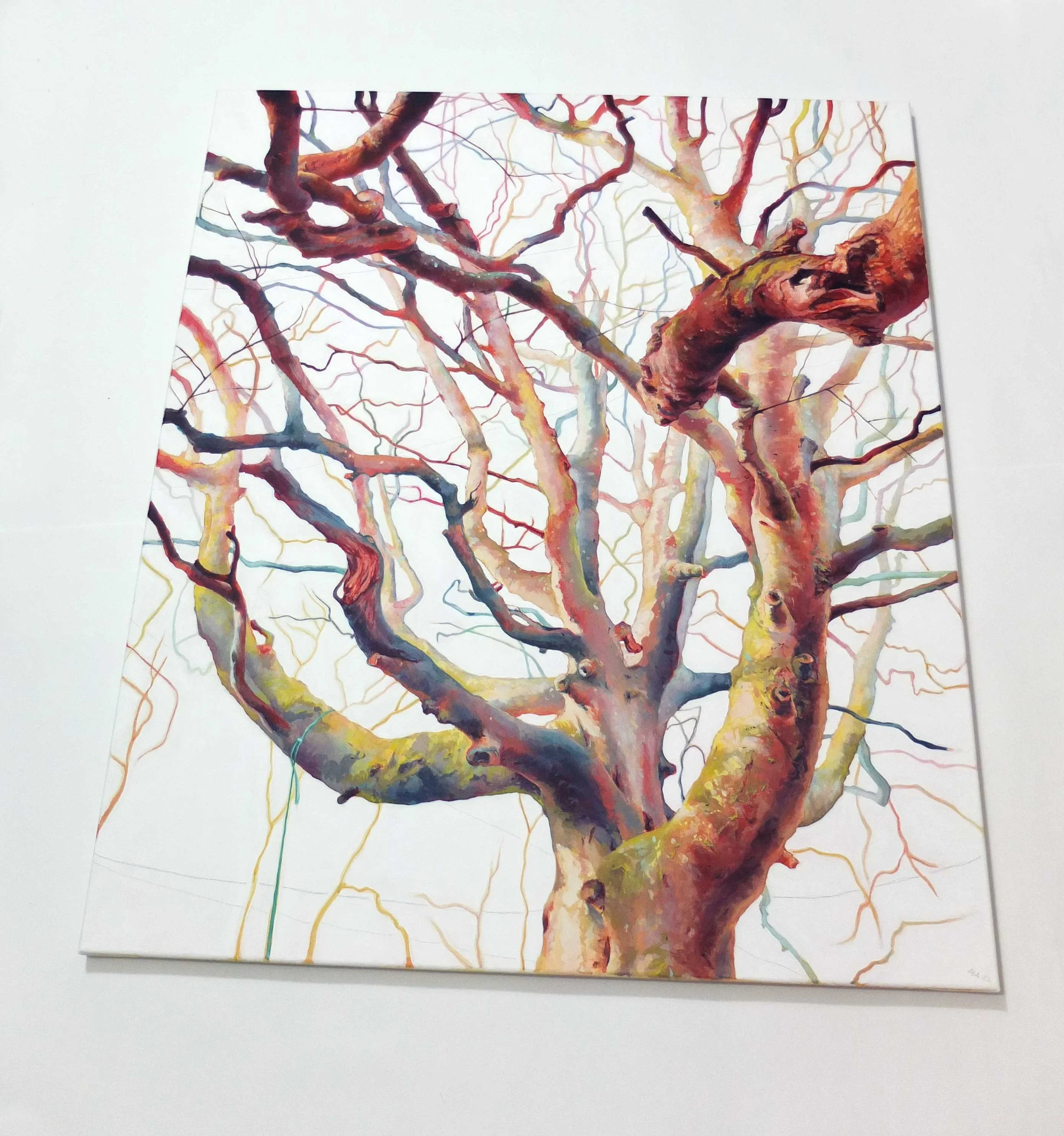 Odgers trees 04b-Angelshaug.jpg