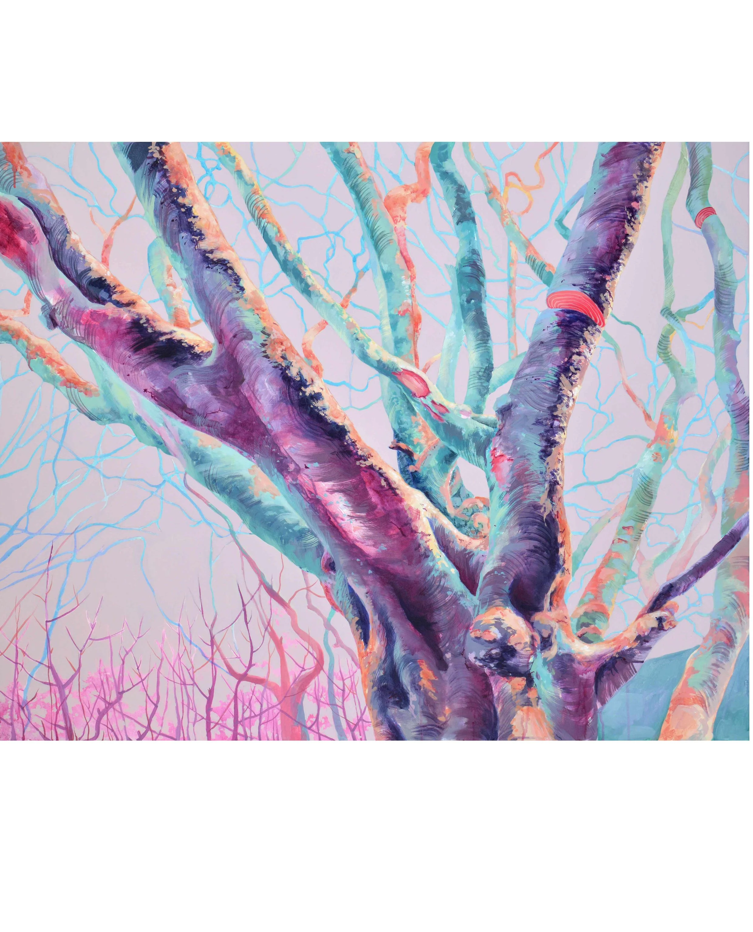"Odgers tree 05"  by Anne Angelshaug