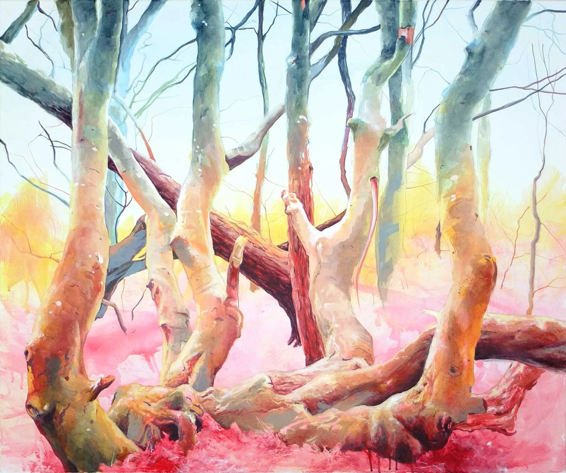 "Odgers tree 02"  by Anne Angelshaug (Copy)