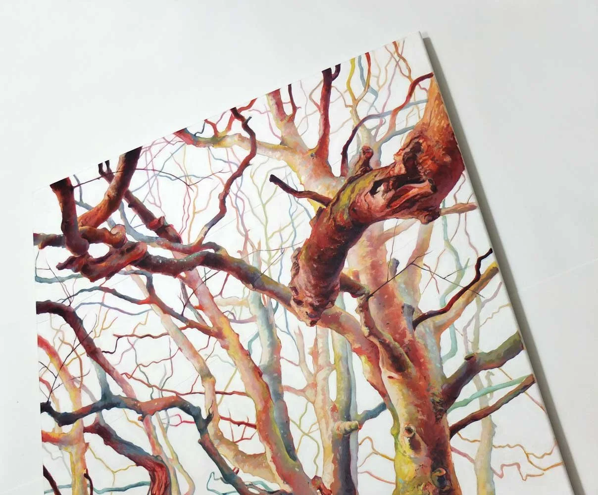 Odgers trees 04c-Angelshaug.jpg