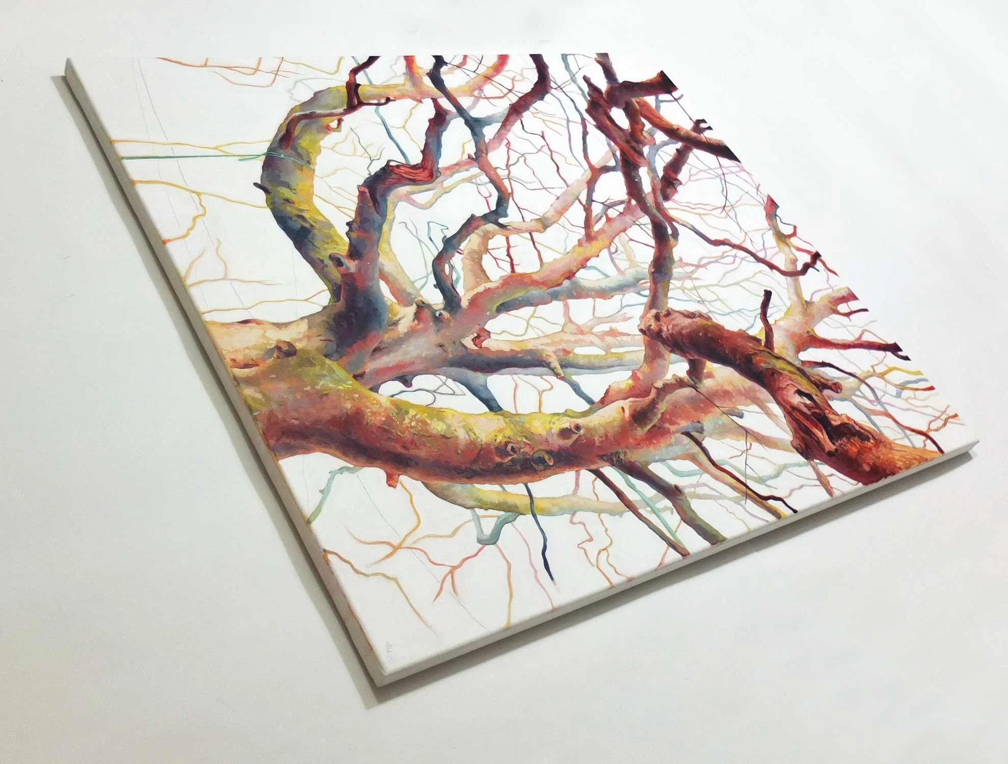 Odgers trees 04d-Angelshaug.jpg