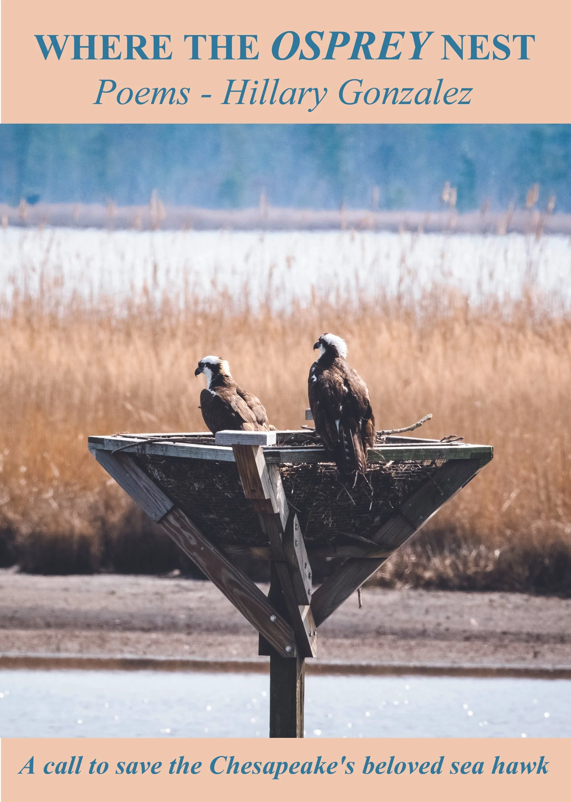 Where the Osprey Nest Book Released