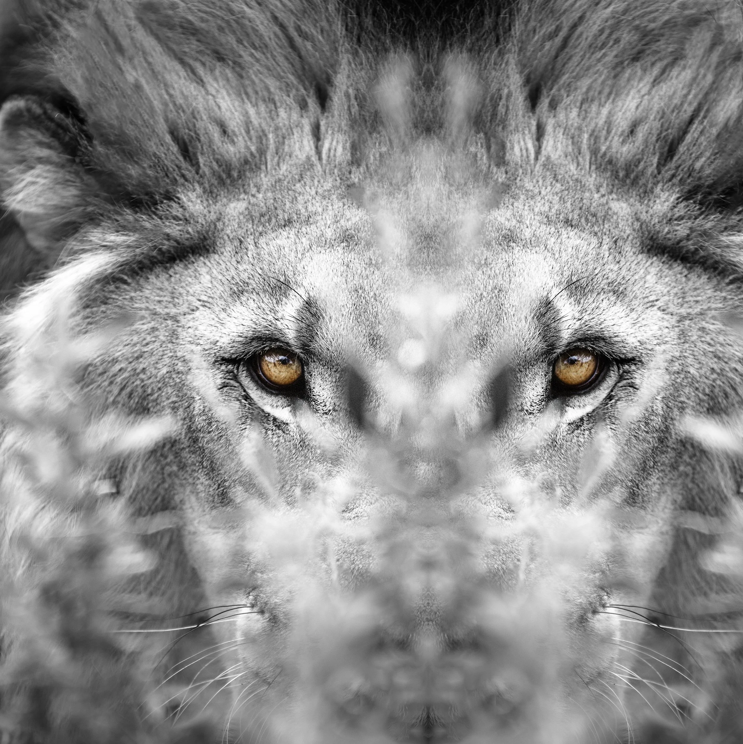 WJOllewagen_20120407_1483_MFXP_01_WLDLFE_PRNT(12-23).jpg