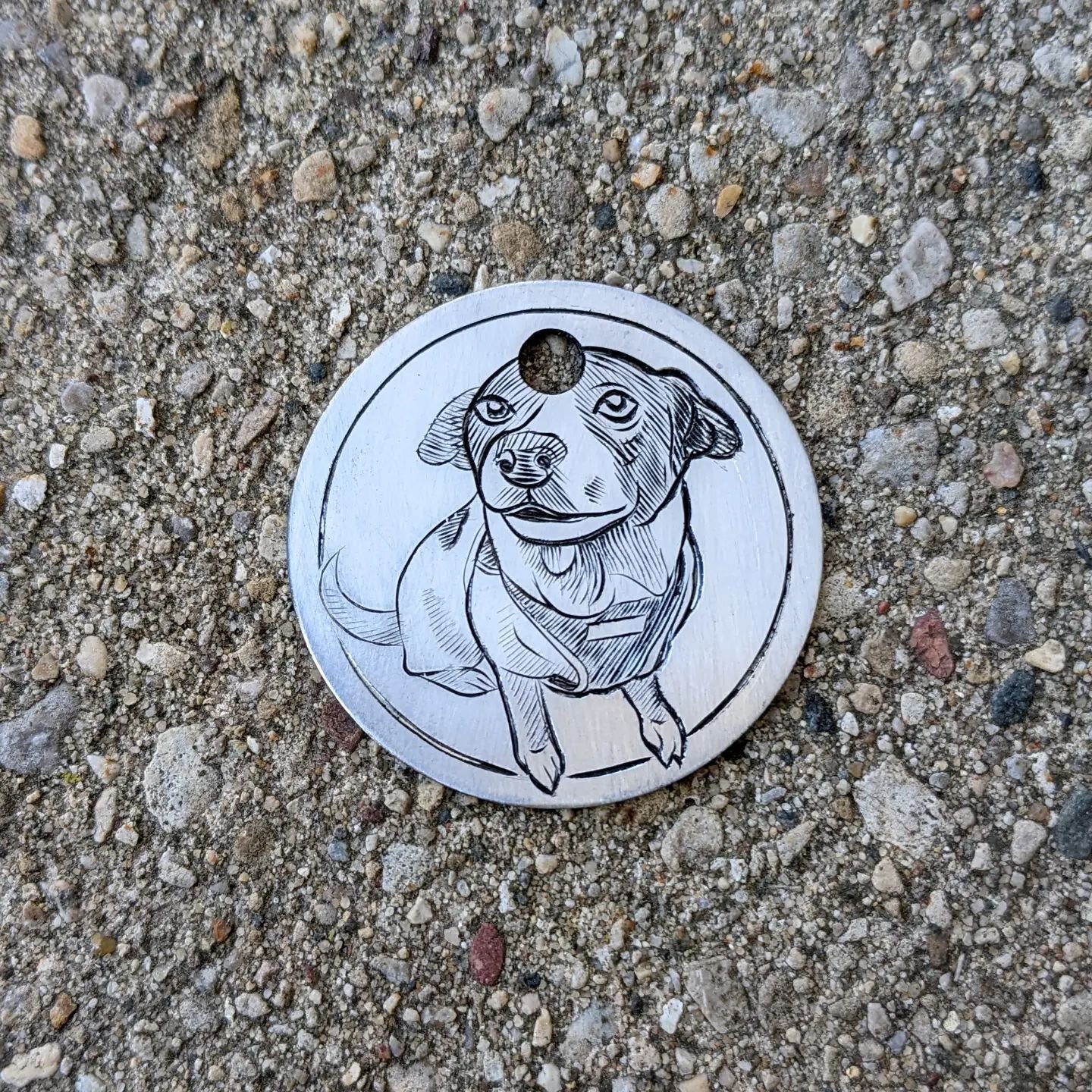 Lola #dogtags #pettags #handengraved #metalengraving #petportrait