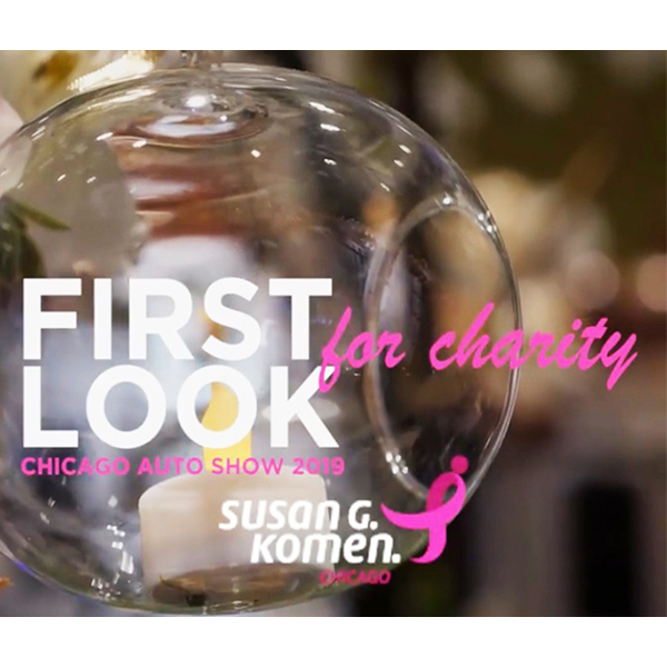 First Look Charity Chicago Auto Show
