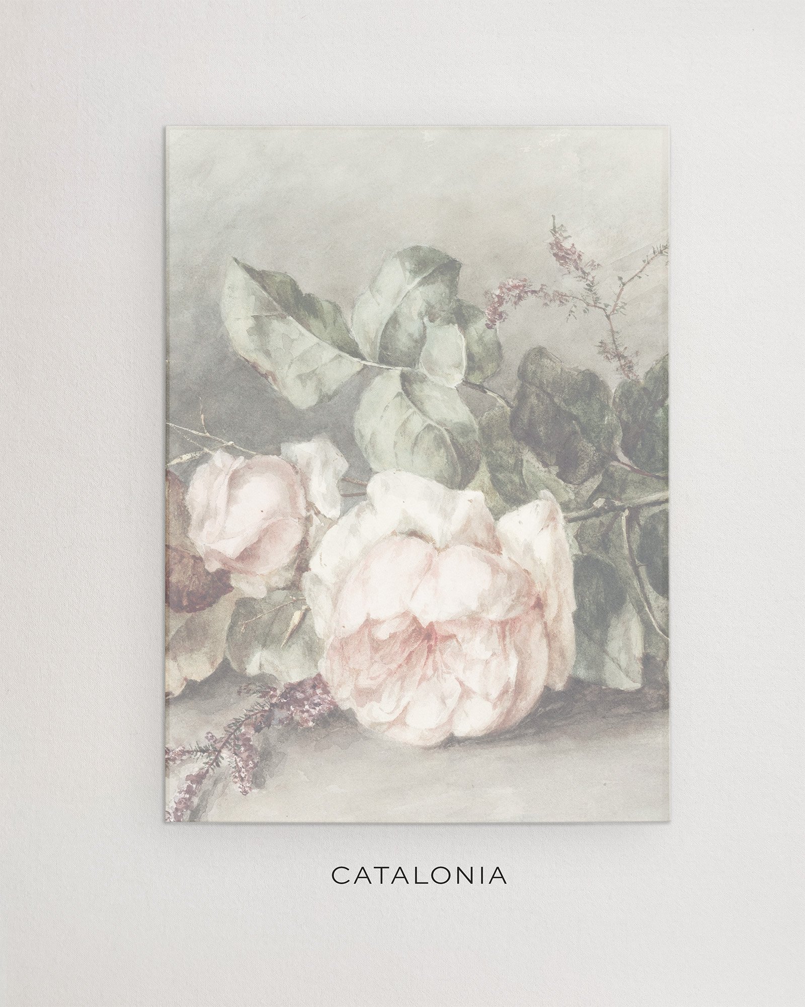 Vellum Catalonia.jpg