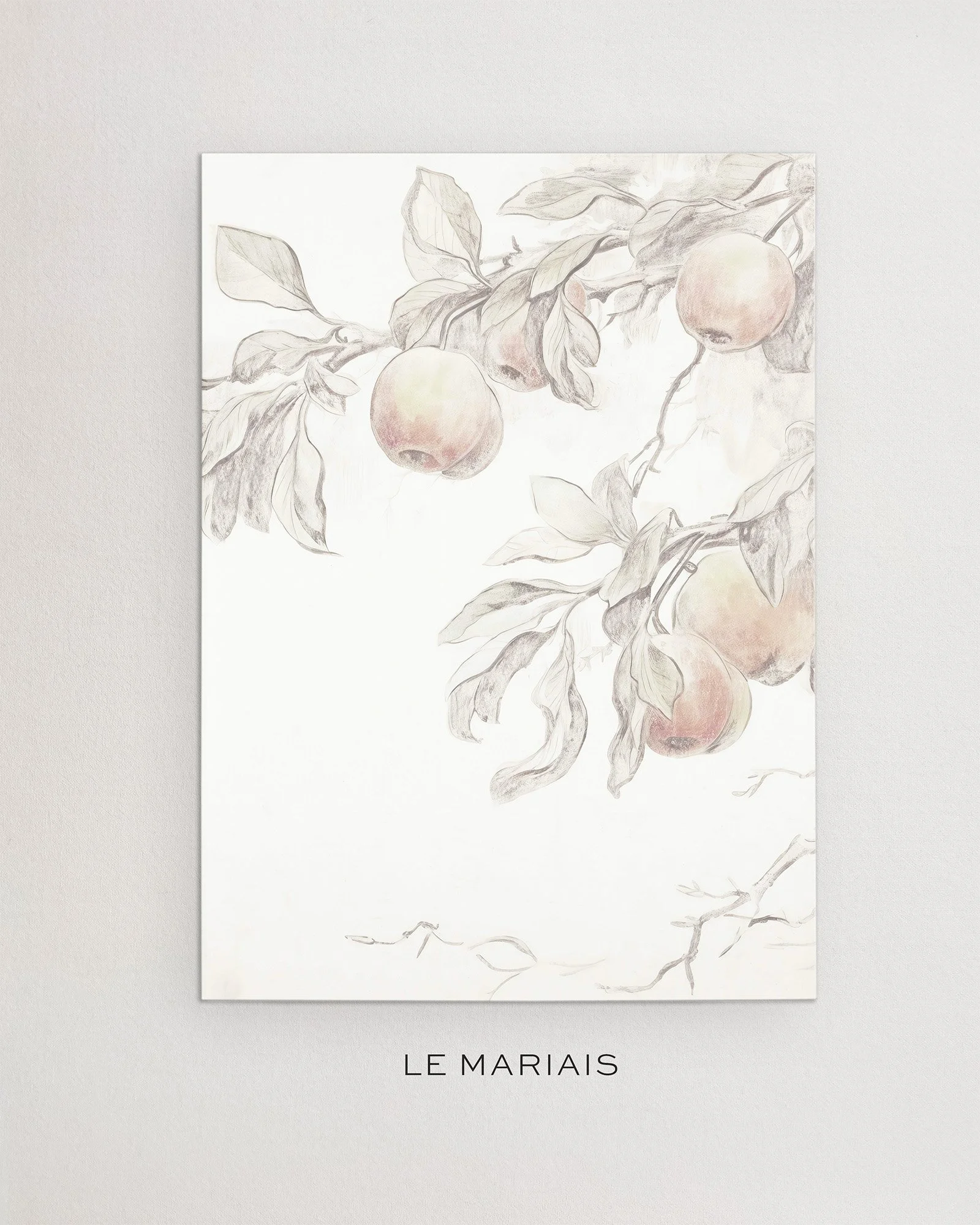 Vellum LE MARIAS.jpg