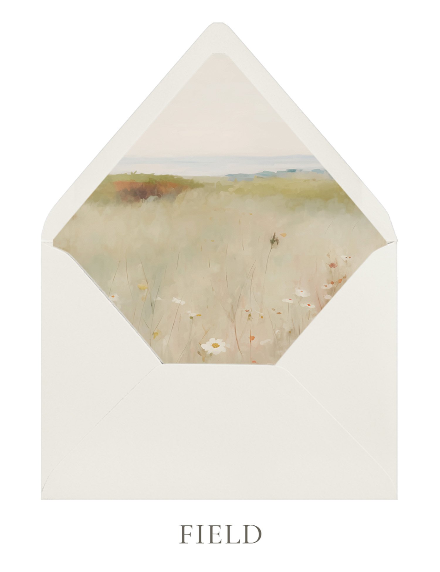 field.jpg