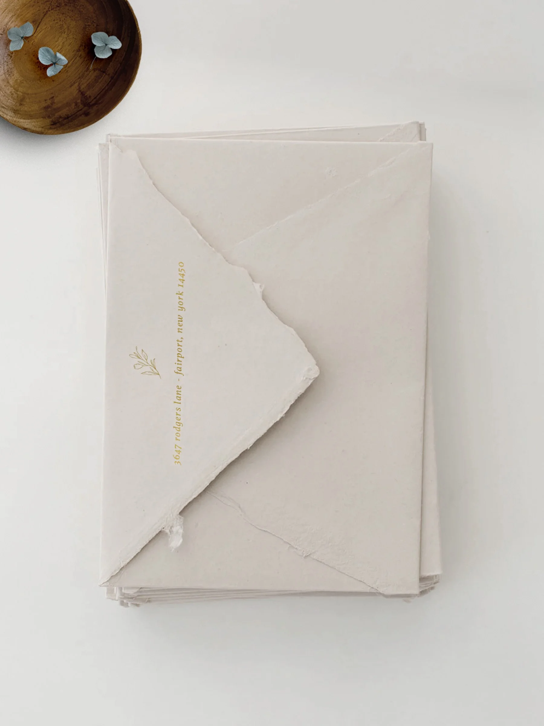 Torn white paper with a gold address printed on it, placed on a white surface next to a wooden bowl with small blue butterflies inside.