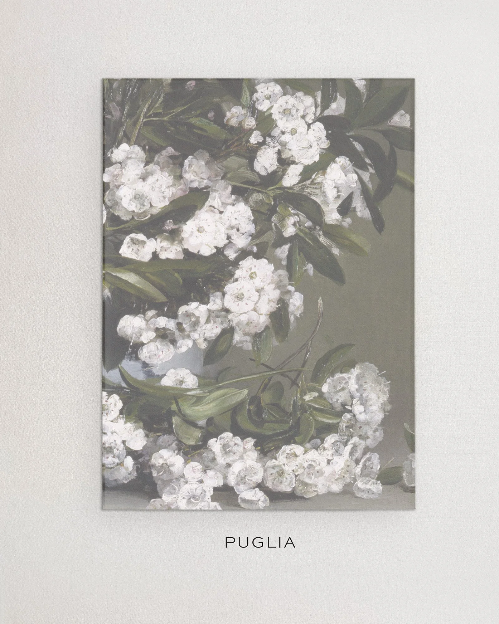 Vellum PUGLIA.jpg