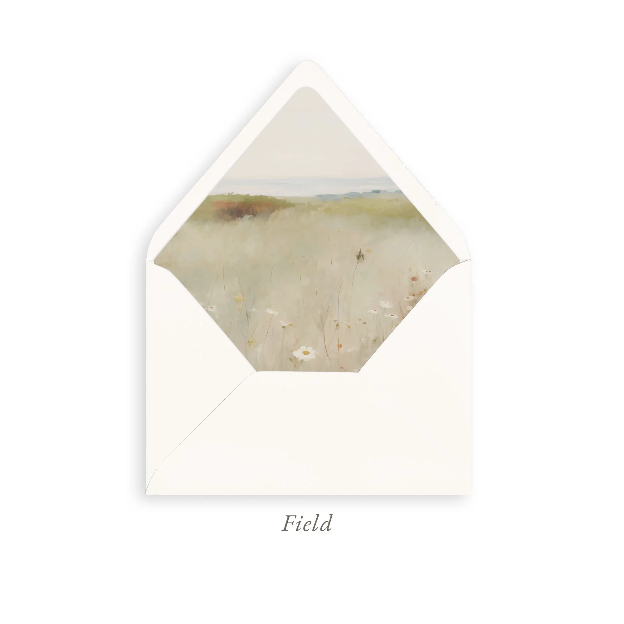 field.jpg