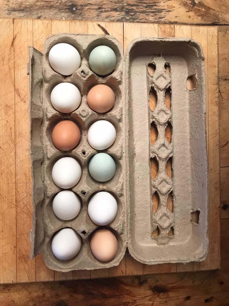 IMAGE 2026-02-02 14:16:37.jpg