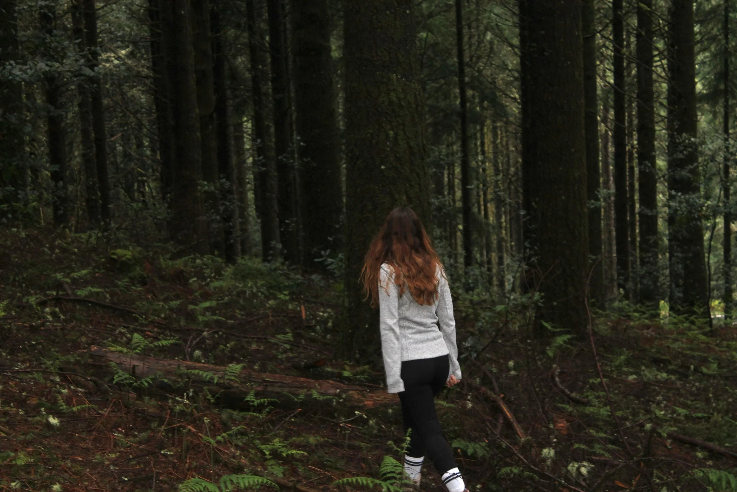 WhatsApp Image 2025-05-11 at 22.48.13.jpeg