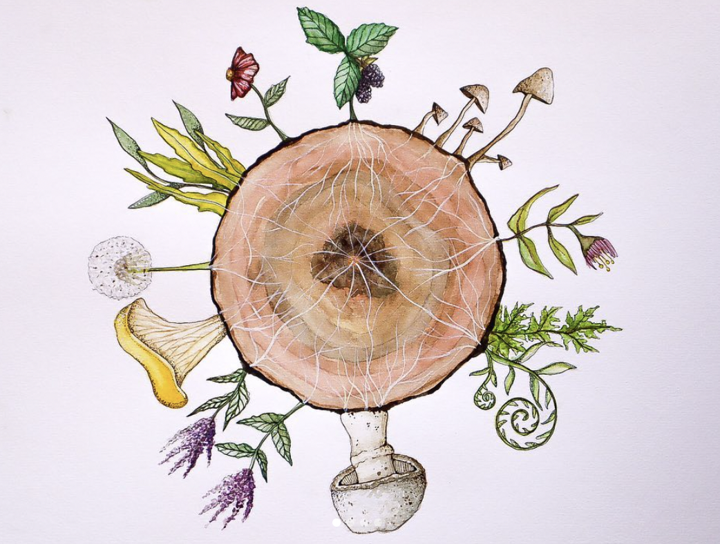 Screenshot 2025-04-03 at 15.13.21 2.PNG