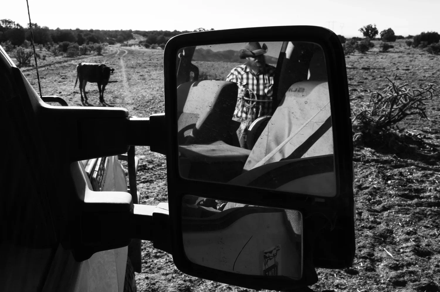 Cowboys — photograph 6 of 7