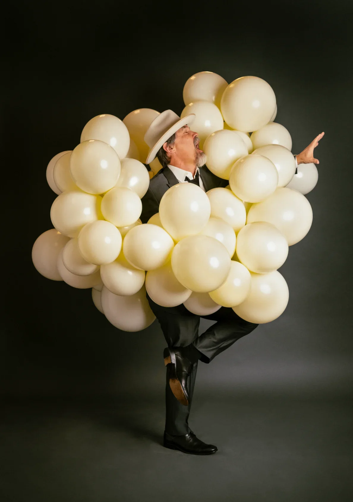 Here to Entertain — photograph 5 of 5
