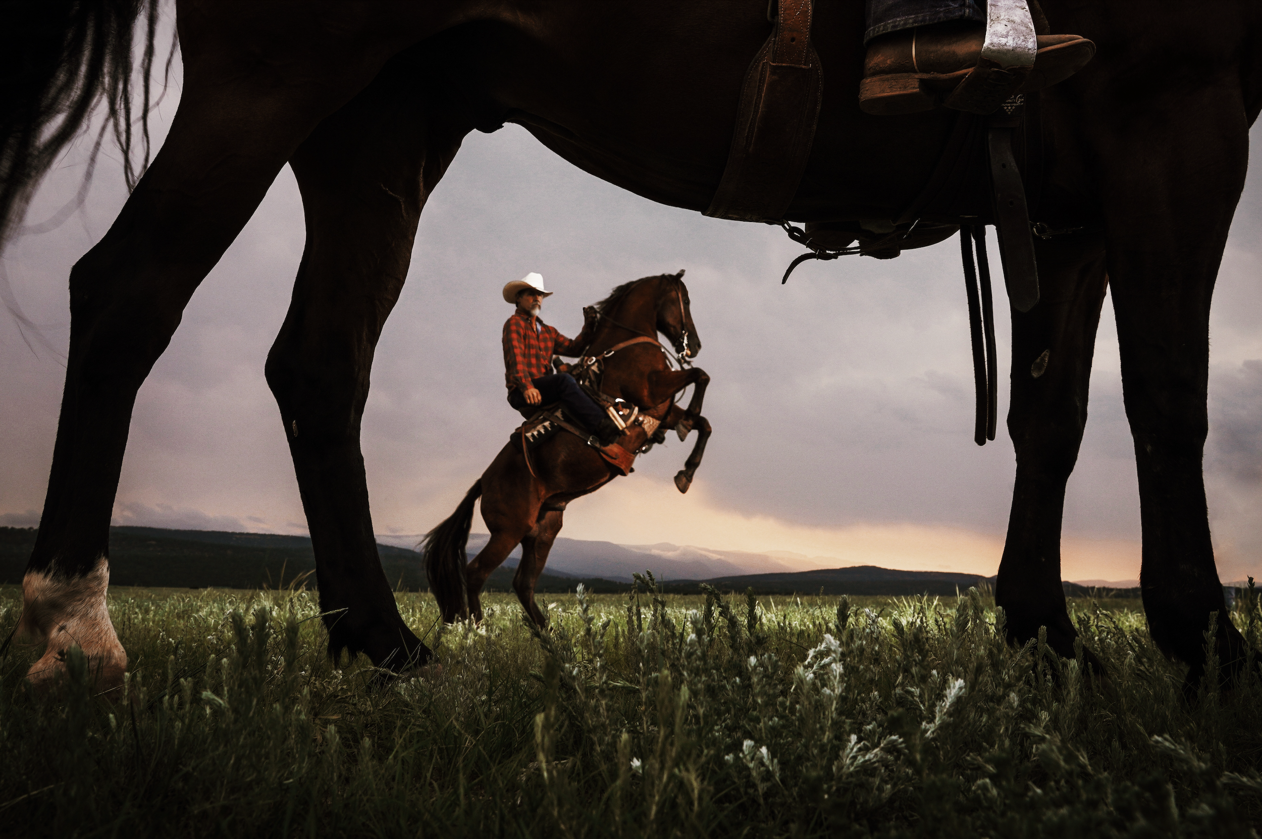 Cowboys