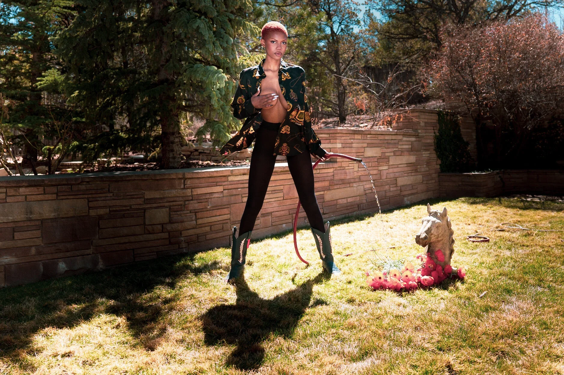 Backyard Cowgirl — photograph 3 of 3