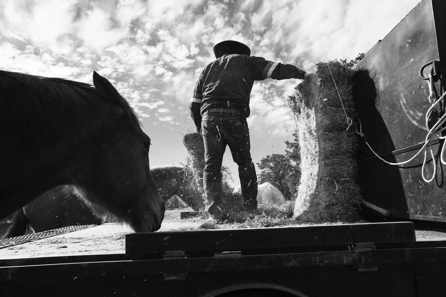 Cowboys — photograph 5 of 7