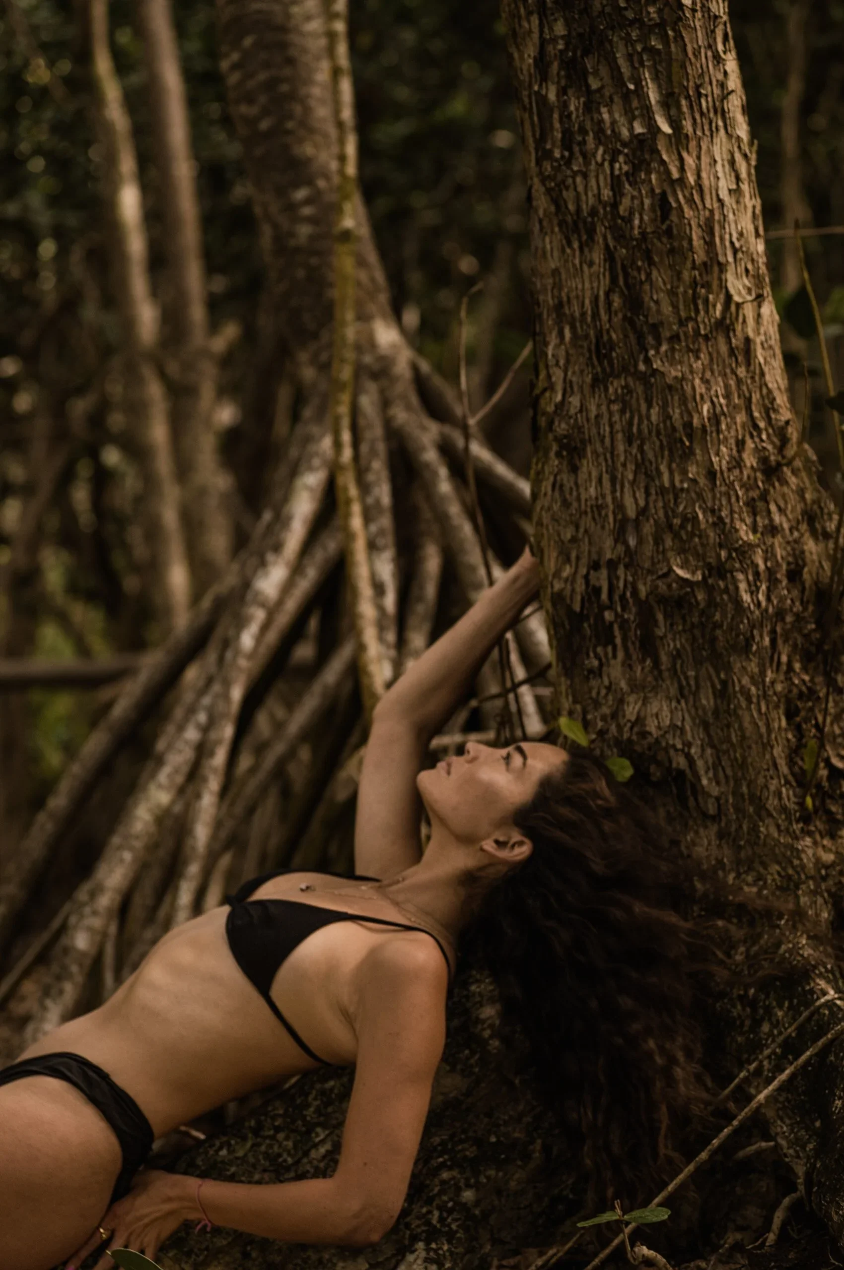 Secret Grove — photograph 3 of 7