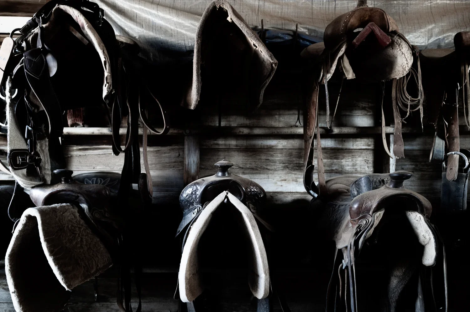 Cowboys — photograph 7 of 7