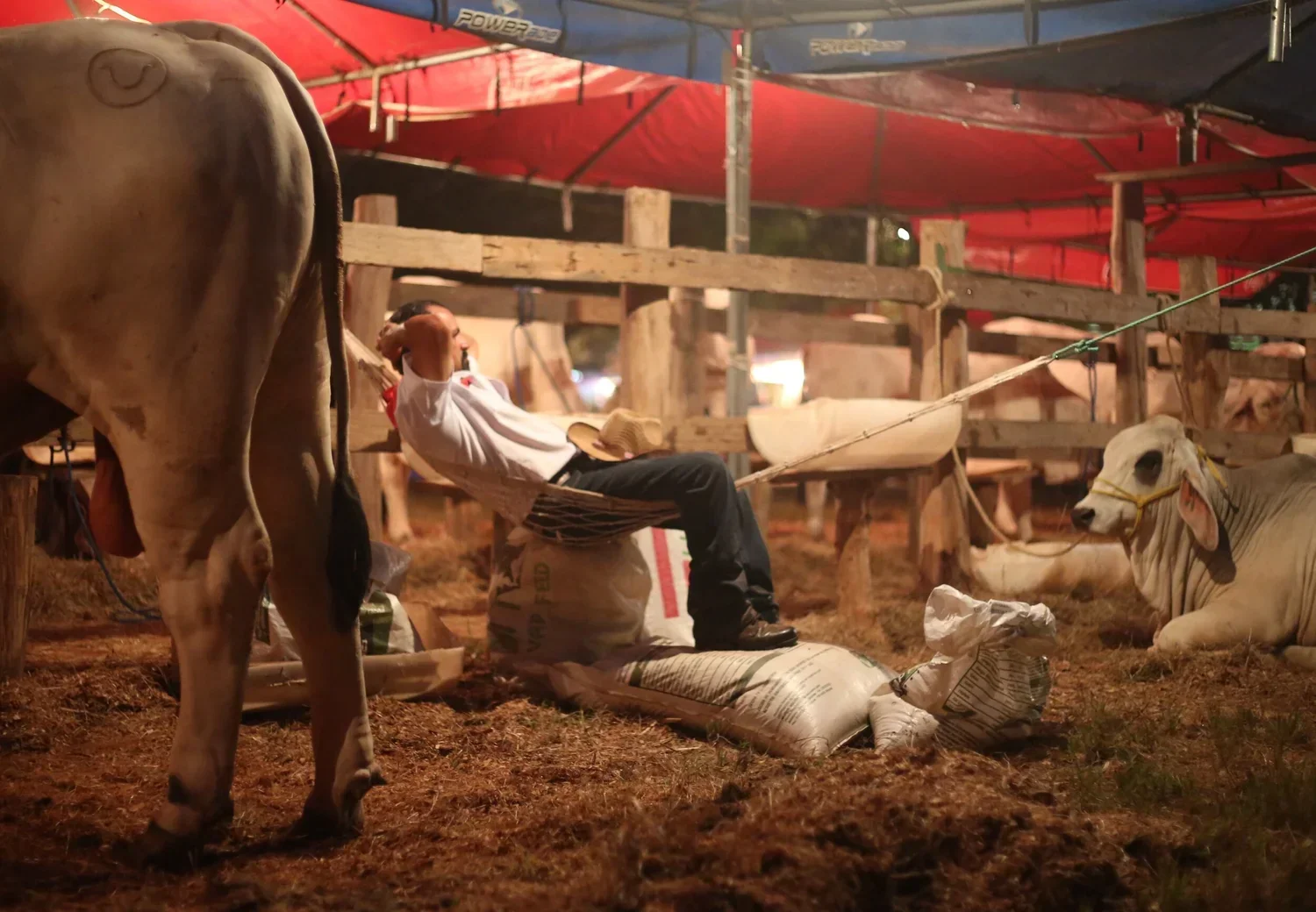 Cowboys — photograph 3 of 7