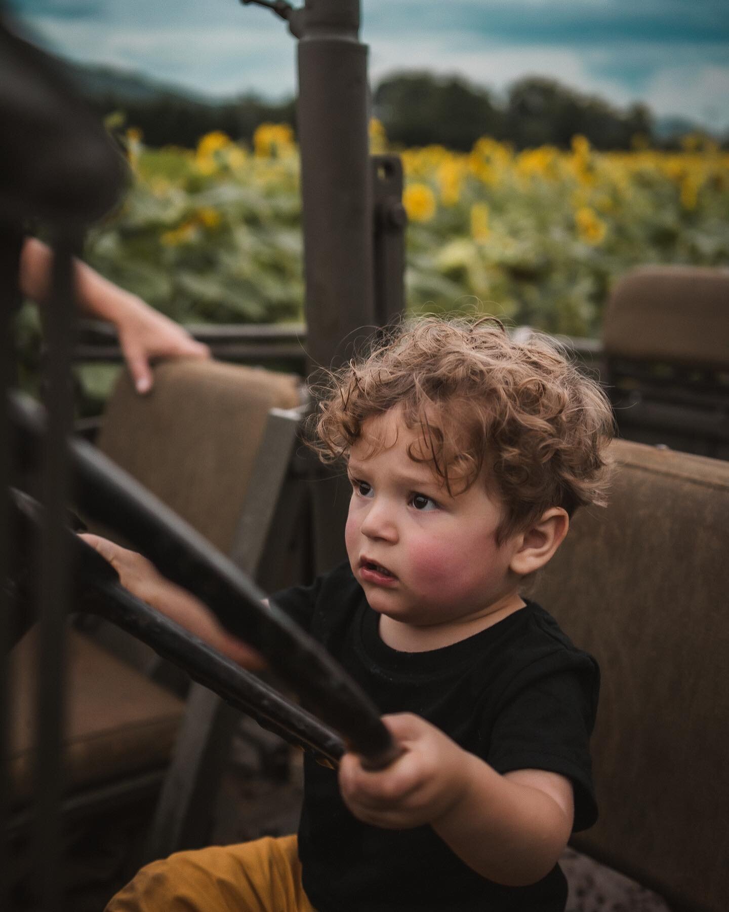 My adorable son in a 1941 Ford GPW 🥹😂

#photography #ford #jeep #fordgpw #chattanooga #photographer