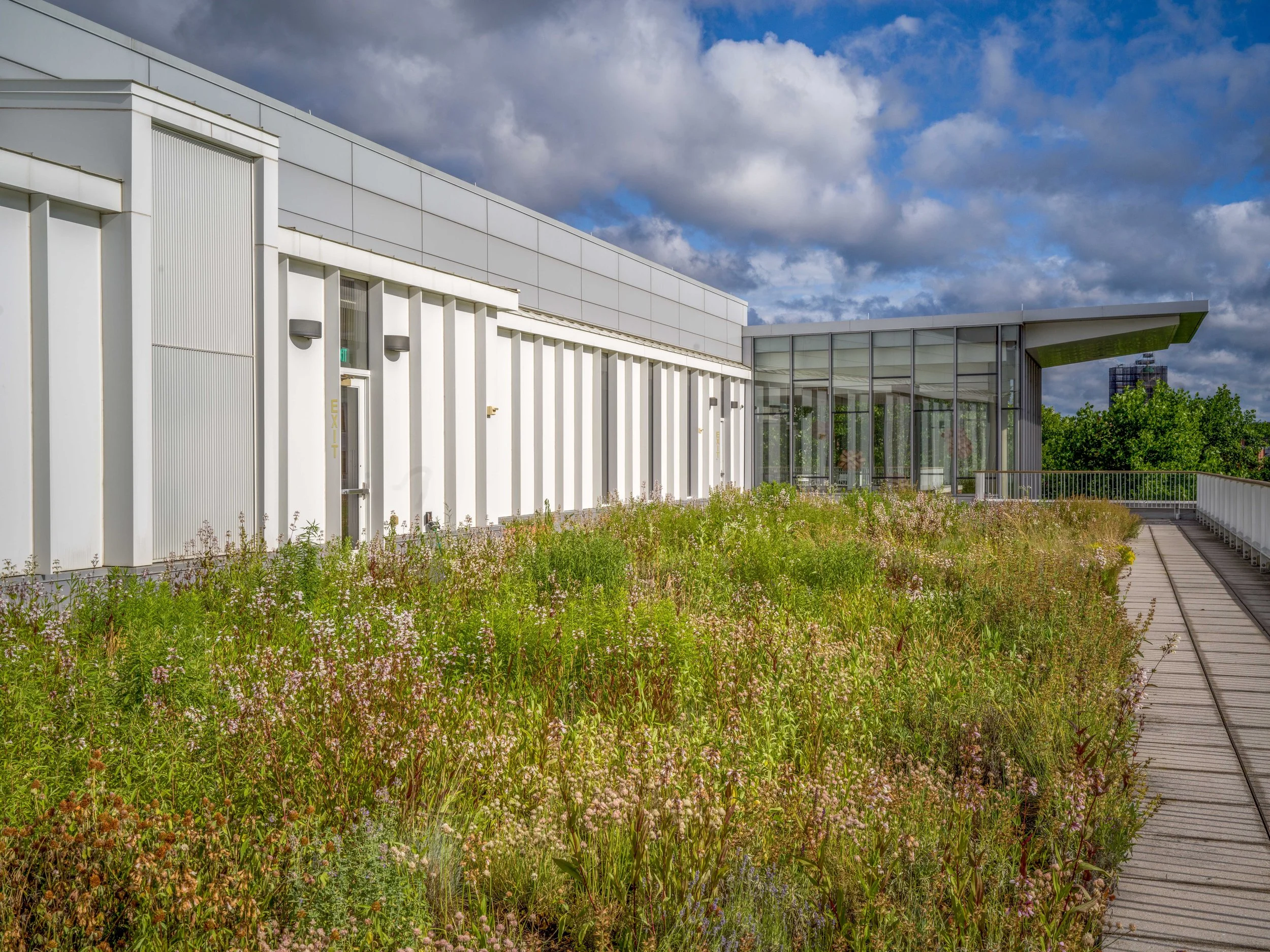 2026_06_14(Roof2)-8.jpg