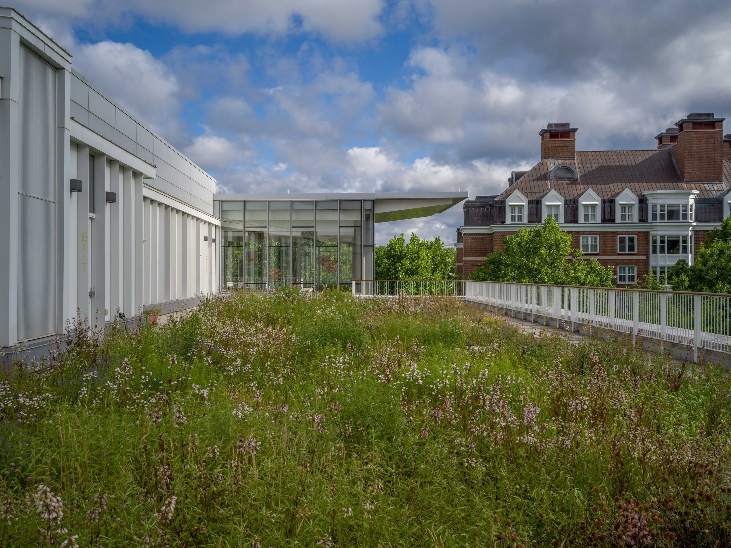 2026_06_14(Roof2)-7.jpg