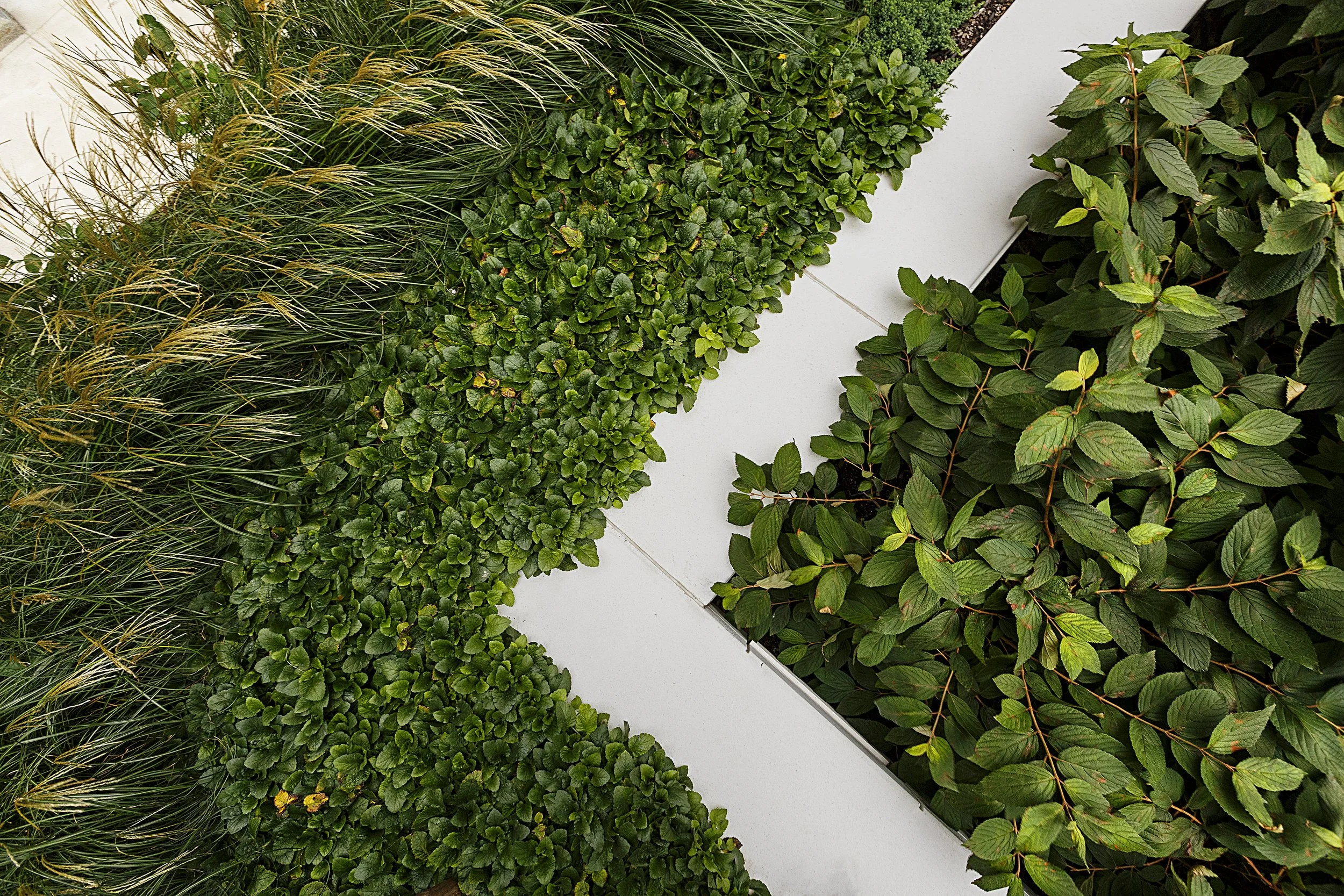 recover-green-roofs-patrick-rogers-photography-montaje-courtyard-skydeck-11-2018-2.jpg