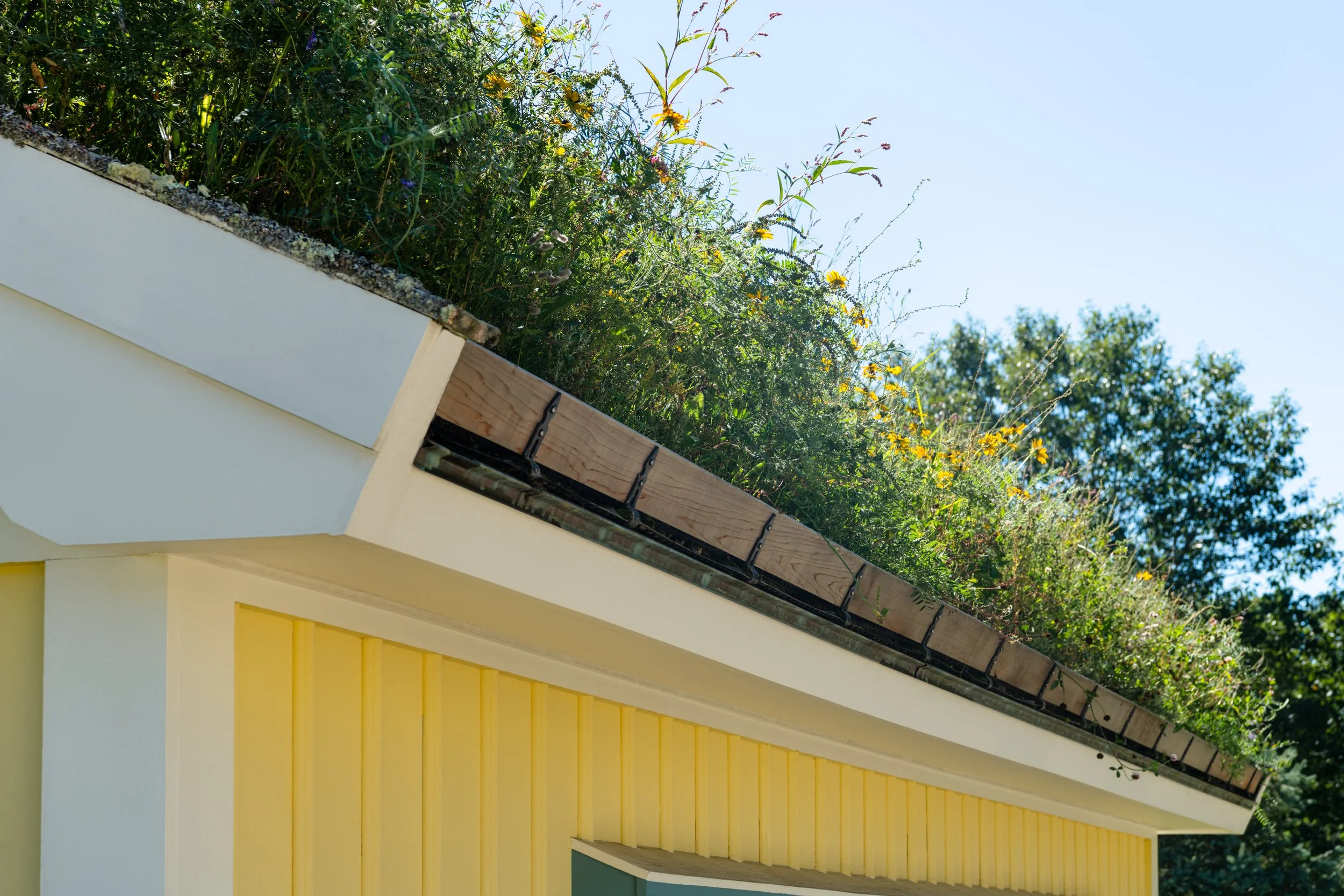 DSP-Turf-Roof-016.jpg