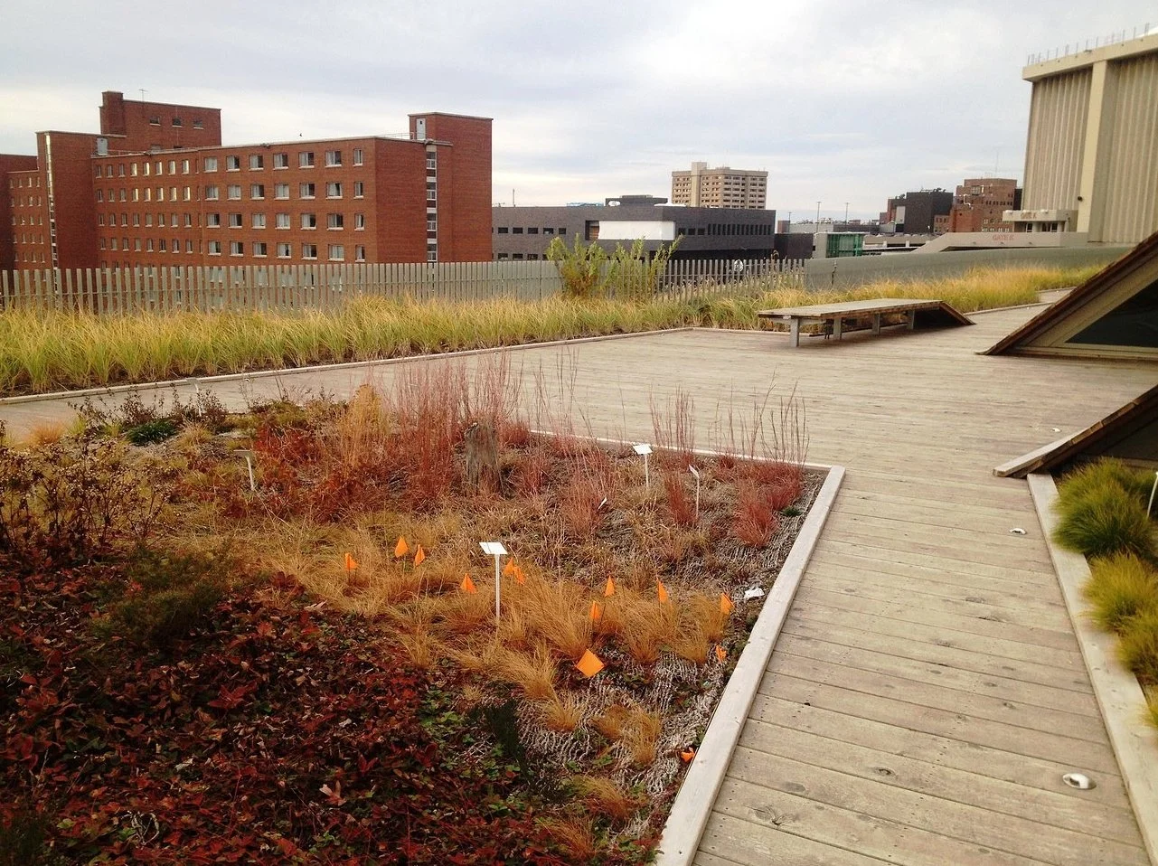 SUNY ESF College of Environmental Science & Forestry Green Roof