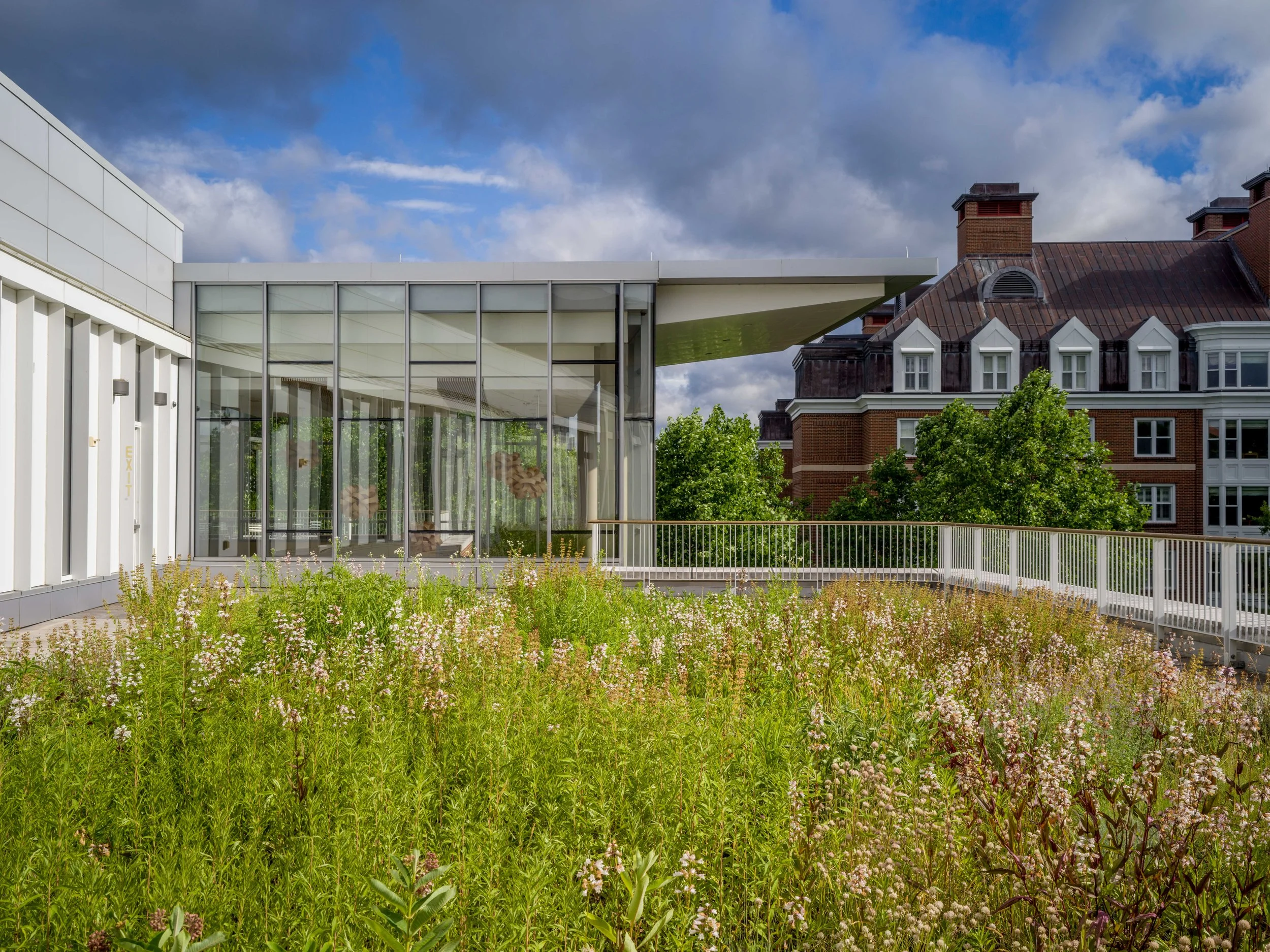 2026_06_14(Roof2)-11.jpg